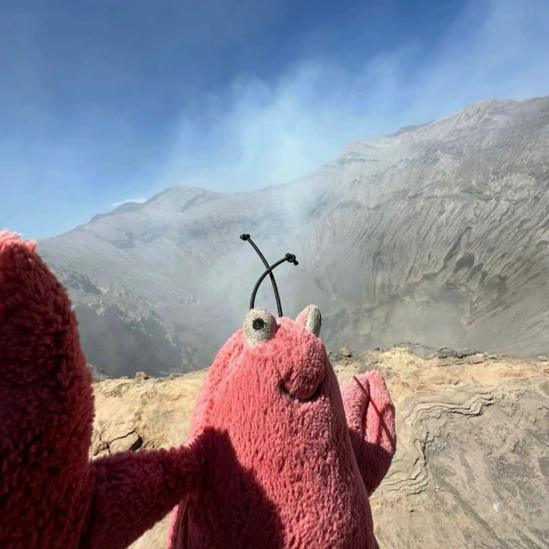 微信图片 2025 08 27 103702 981 文档小能手